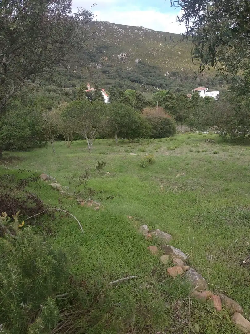 Residential zum Verkauf in El Cuartón - El Bujeo