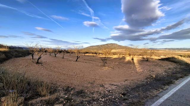 Terreno en Venta en Yecla