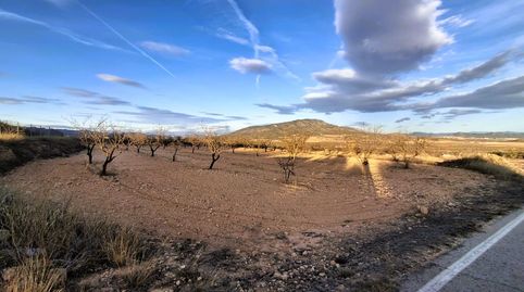 Parcela de 8.234 m con almendros de secano en Raspay, Yecla