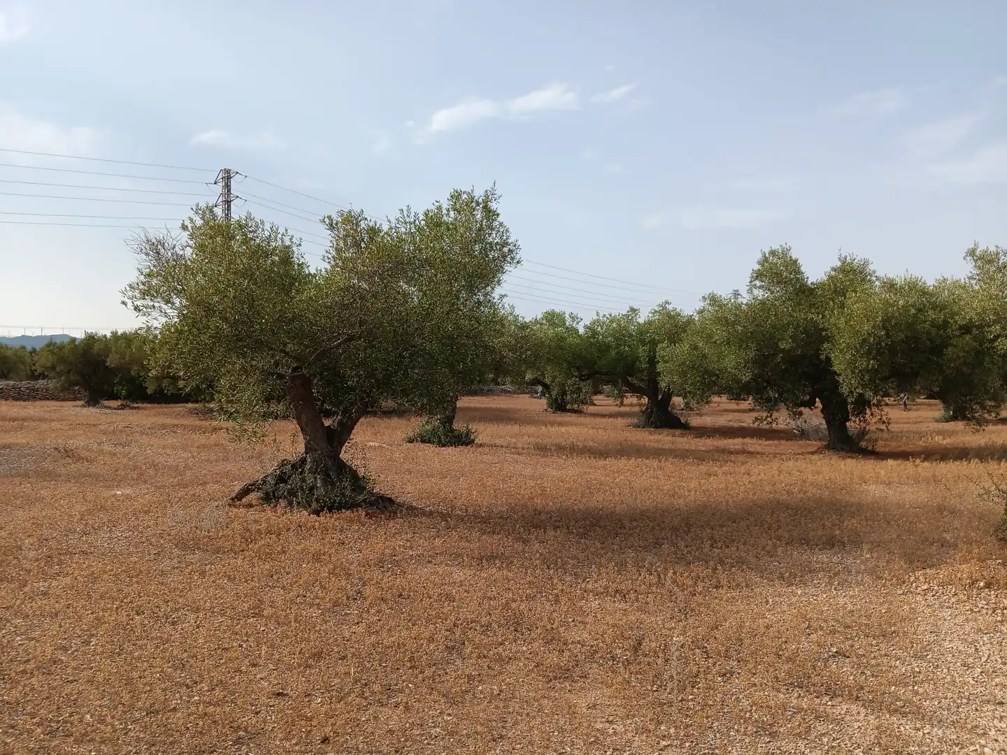Terrenys i solars en venda a L'Ampolla, imagen 9