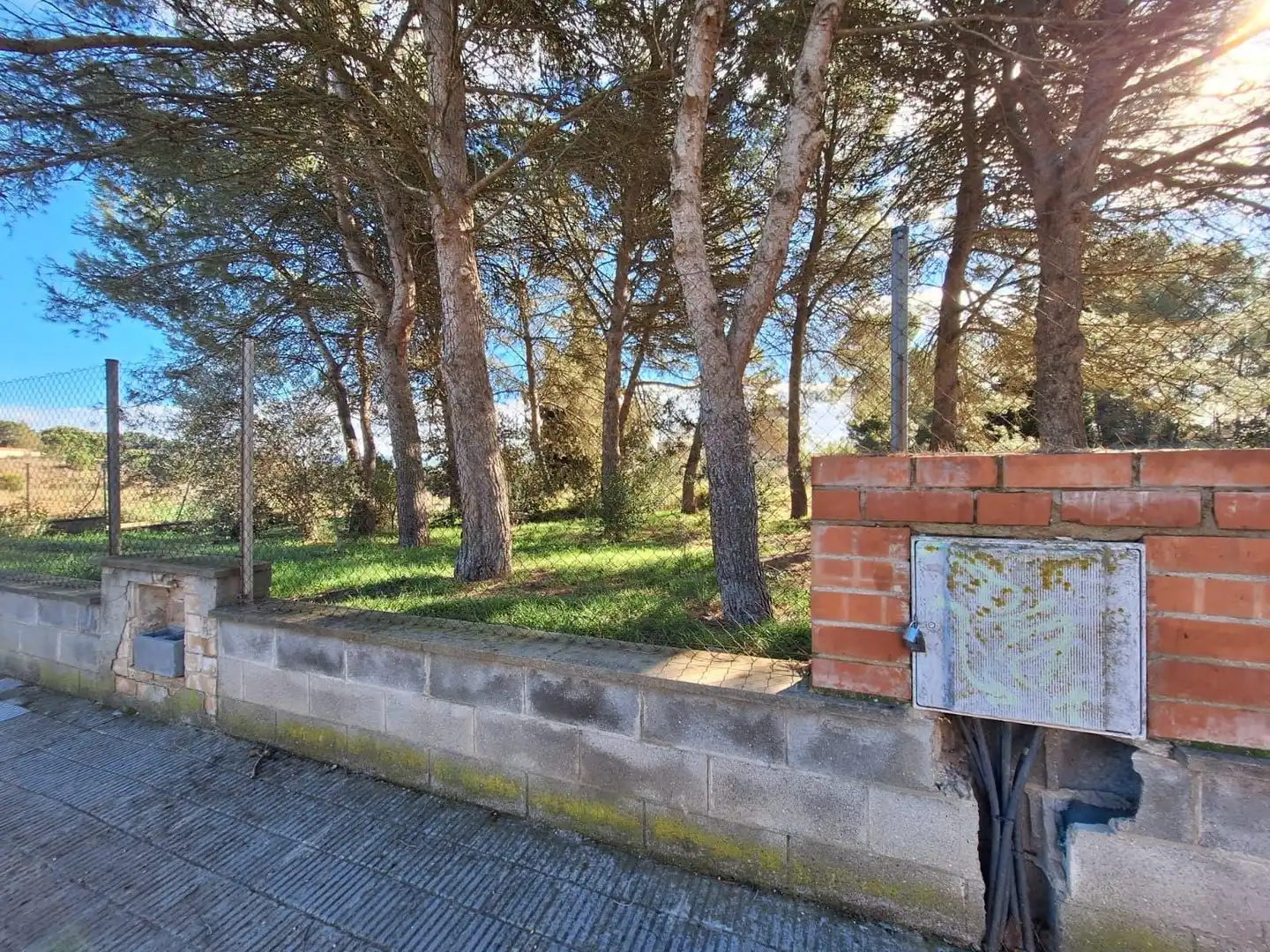 Terrenys i solars en venda a Sesoliveres - Pla de la Massa, imagen 8