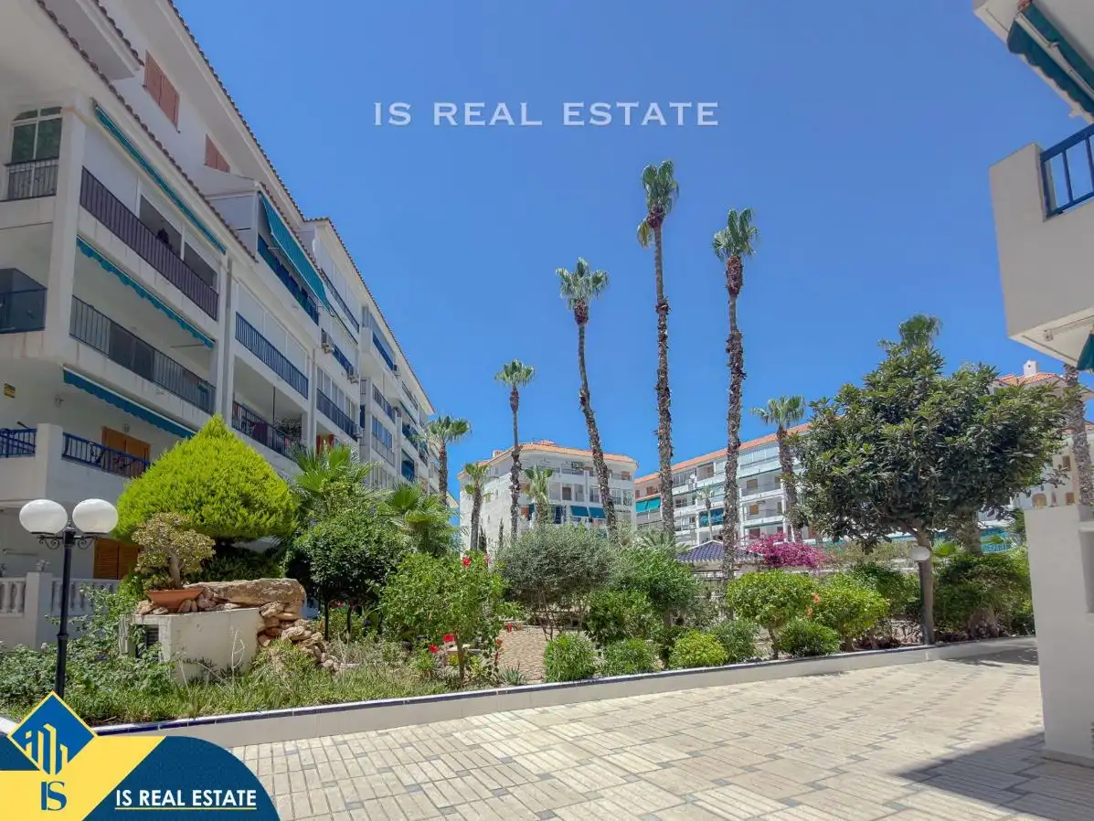 Vista exterior de Estudio en venta en Torrevieja con Aire acondicionado, Calefacción y Terraza