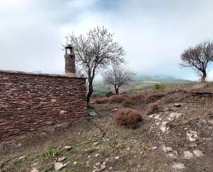 Land for sale in Abla