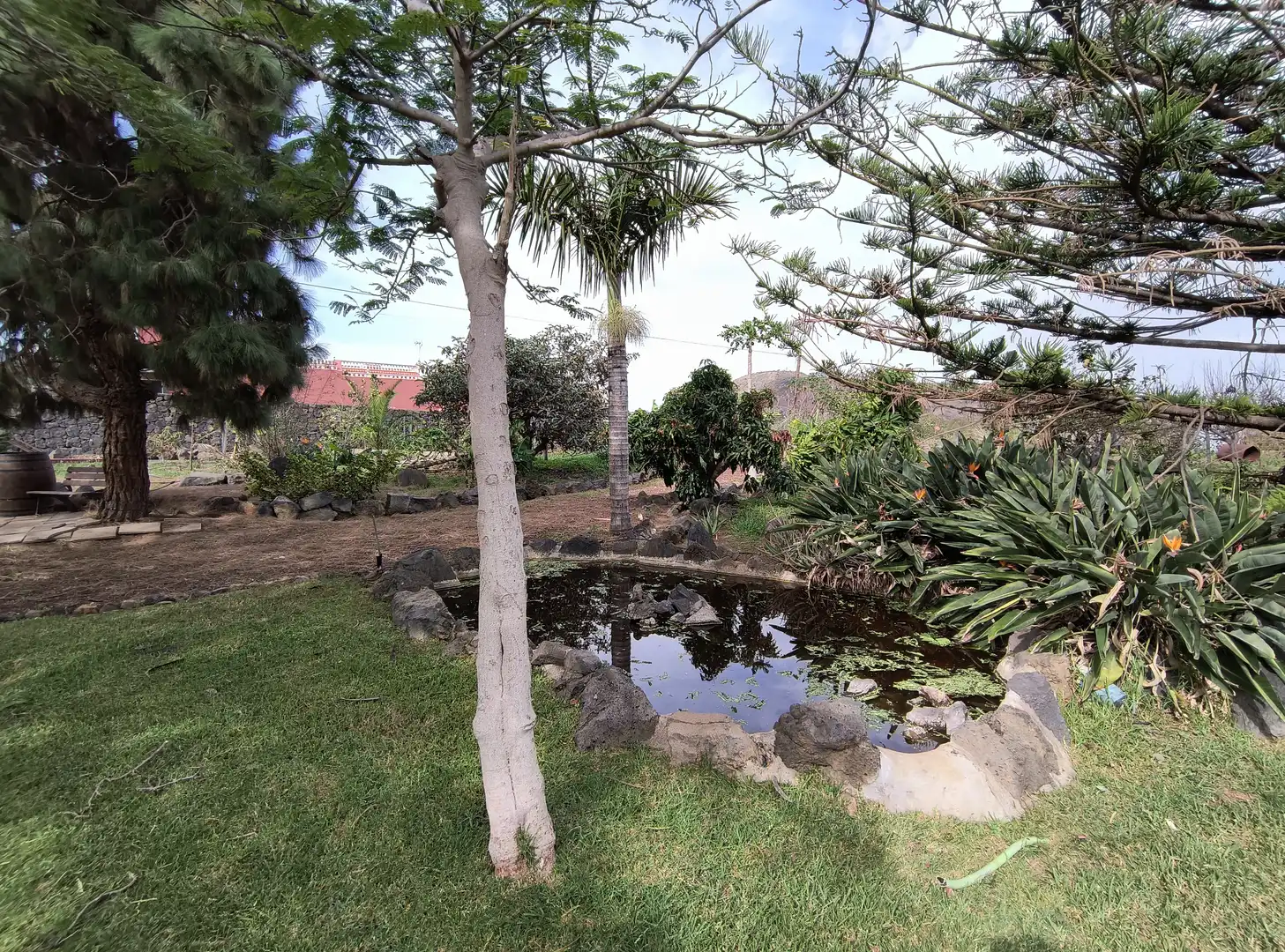 Jardín de Casa o chalet en venta en La Orotava con Jardín privado, Parquet y Terraza