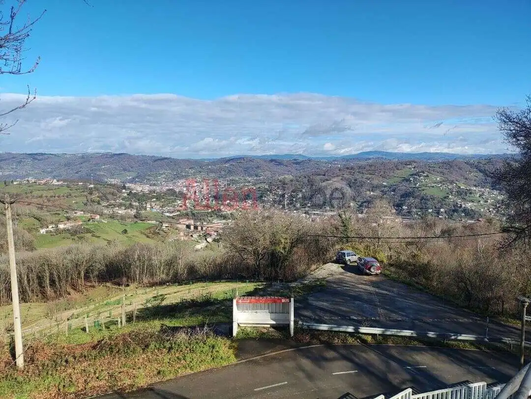 Exterior view of Houses for sale in Langreo  with Private garden and Terrace