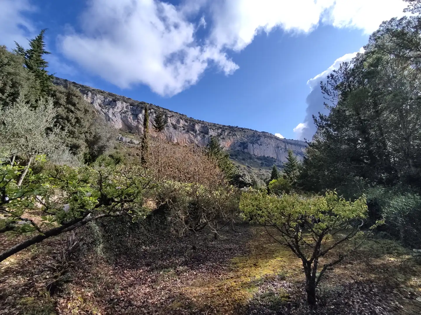 Vista exterior de Terreno en venta en Ciriza / Ziritza