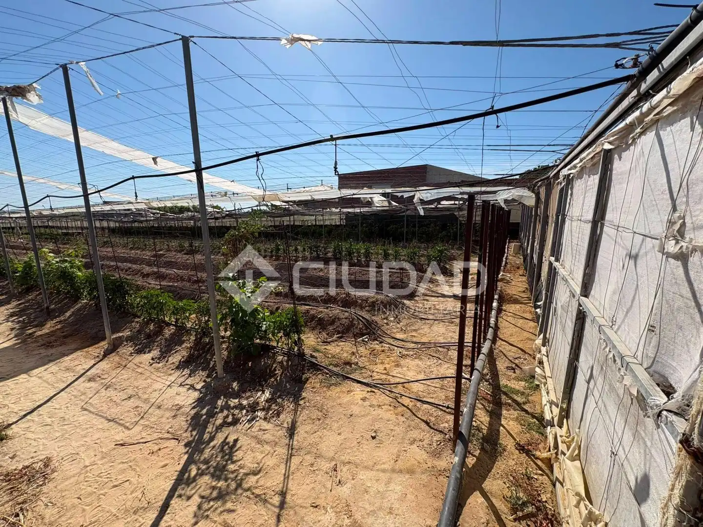 Terreno en venta en Sanlúcar de Barrameda