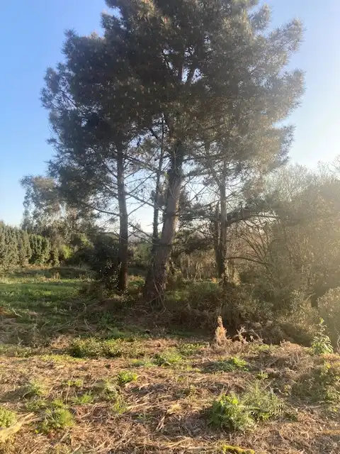 Land for sale in Arteixo