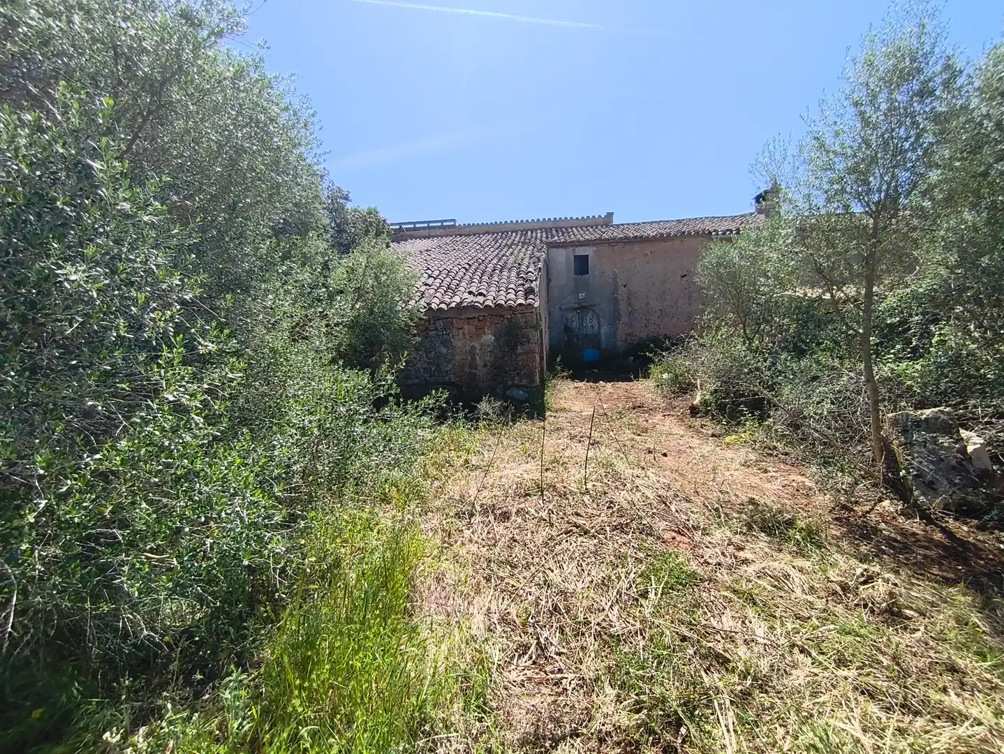 Casa o xalet en venda en  Palma de Mallorca
