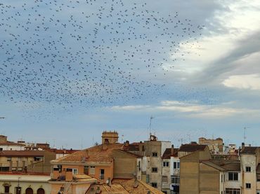 Àtic amb ascensor en venda a Centro
