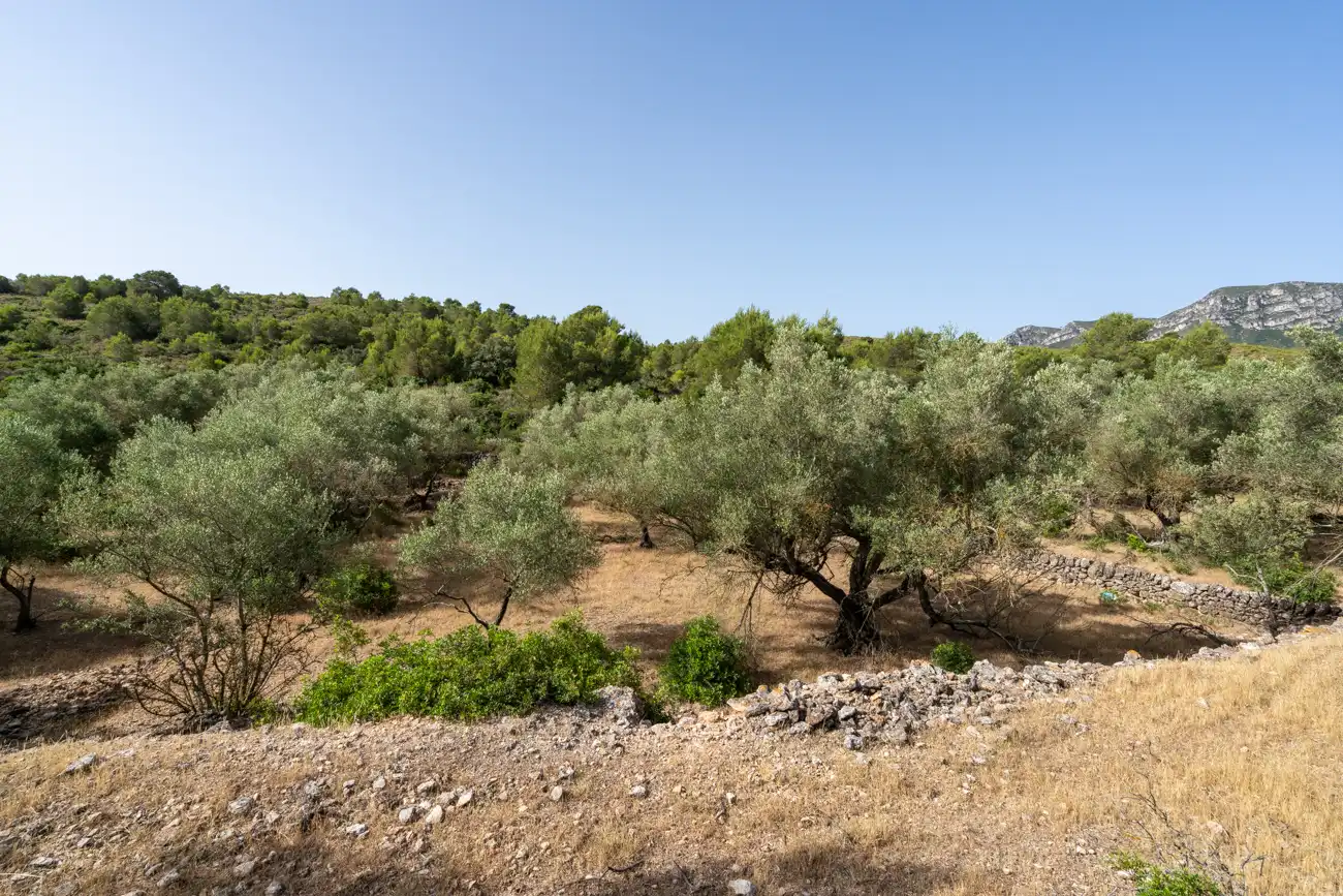 Terreno en venta en El Perelló