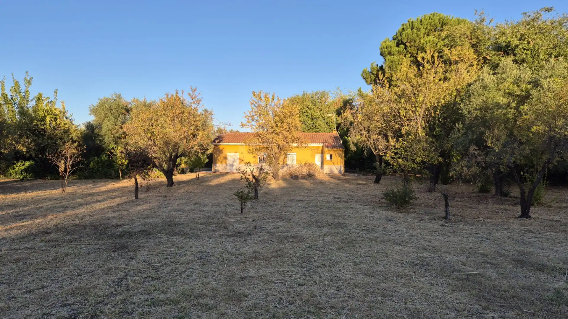 Xalet amb jardí en venda a Dehesilla Calamón, imagen 24