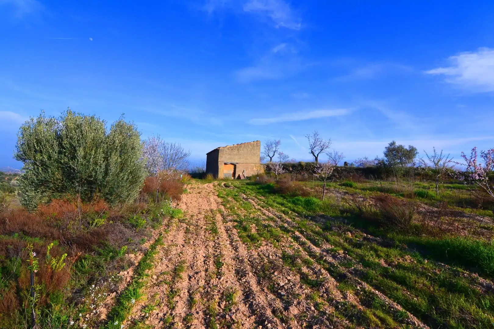 Rural land for sale in Gandesa, imagen 17