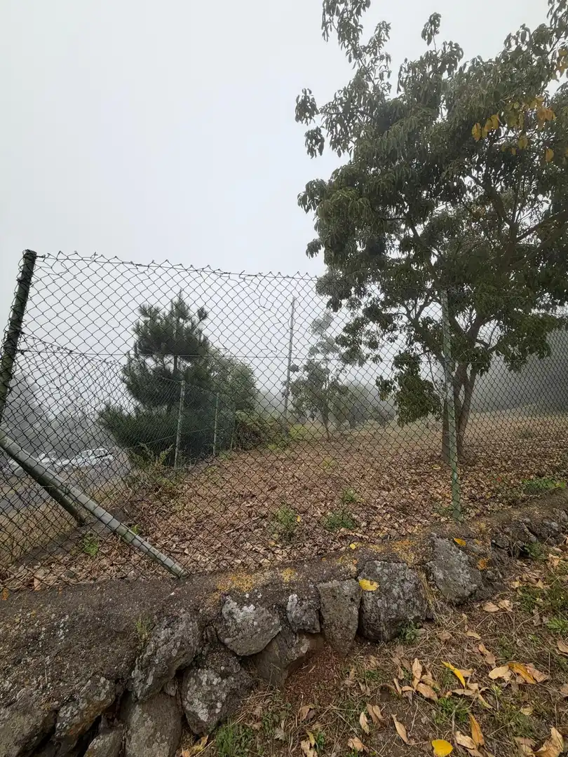 Terreno rustico in vendita a El Bebedero - Pinolere - Aguamansa, imagen 17