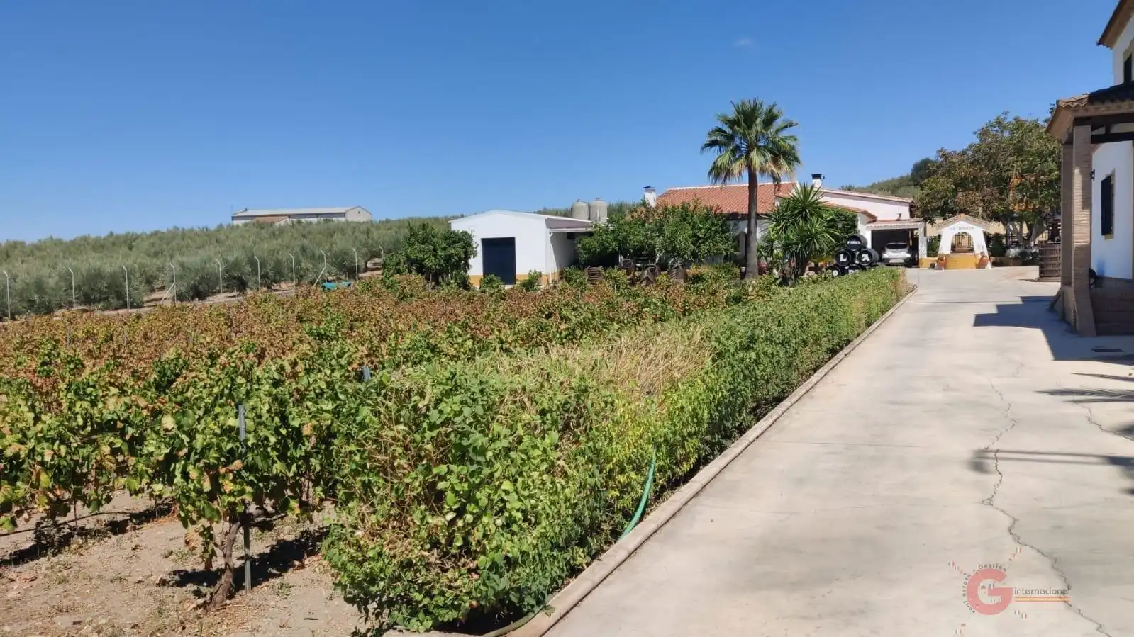Casa o chalet en venta en Montilla