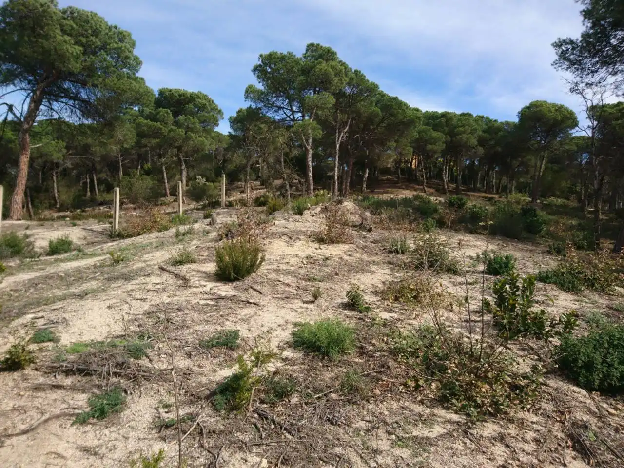 Terreny residencial en venda a Vilanova del Vallès, imagen 17