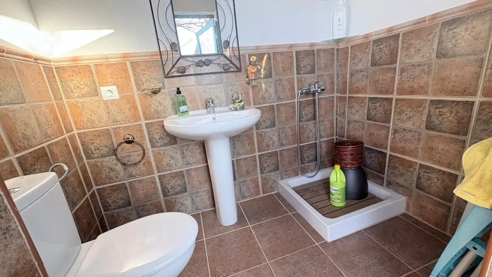 Bathroom of Detached homes for sale in Arucas  with Private garden, Storage room and Furnished