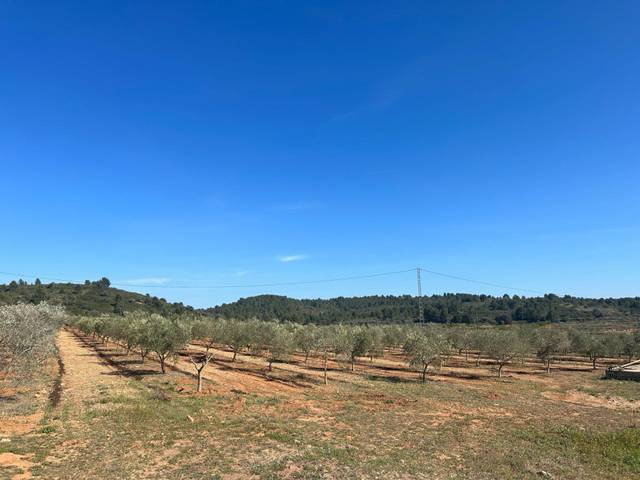 Terreno en Venta en  BARONA en Vall d'Alba