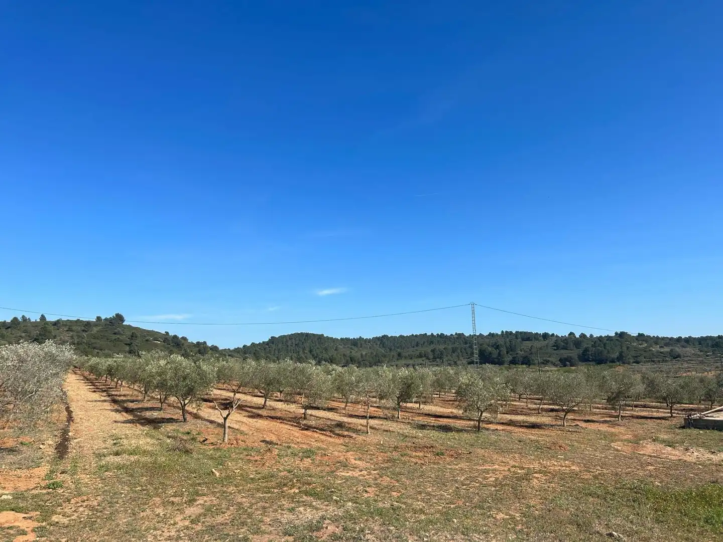 Terreno en venta en BARONA, Vall d'Alba