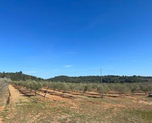 Grundstücke zum verkauf in Vall d'Alba