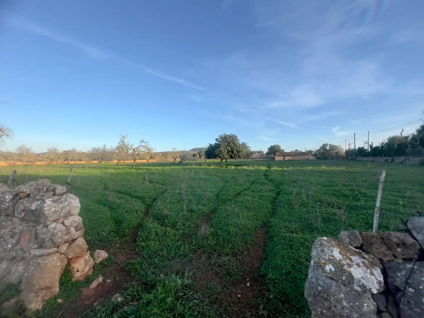 Rural land for sale in Cas Concos - Santanyí, imagen 19