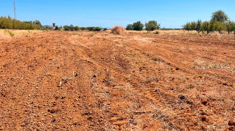 Foto 2 de Terreno en venta en N-340, 2, Torreblanca, Castellón