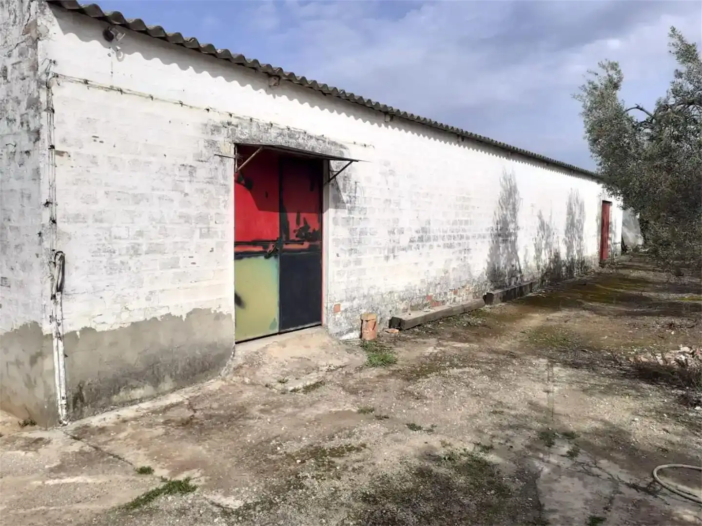 Vista exterior de Finca rústica en venta en Benacazón