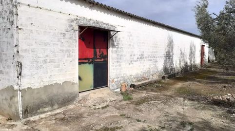 Photo 5 of Country homes for sale in Calle Celada, Benacazón, Sevilla