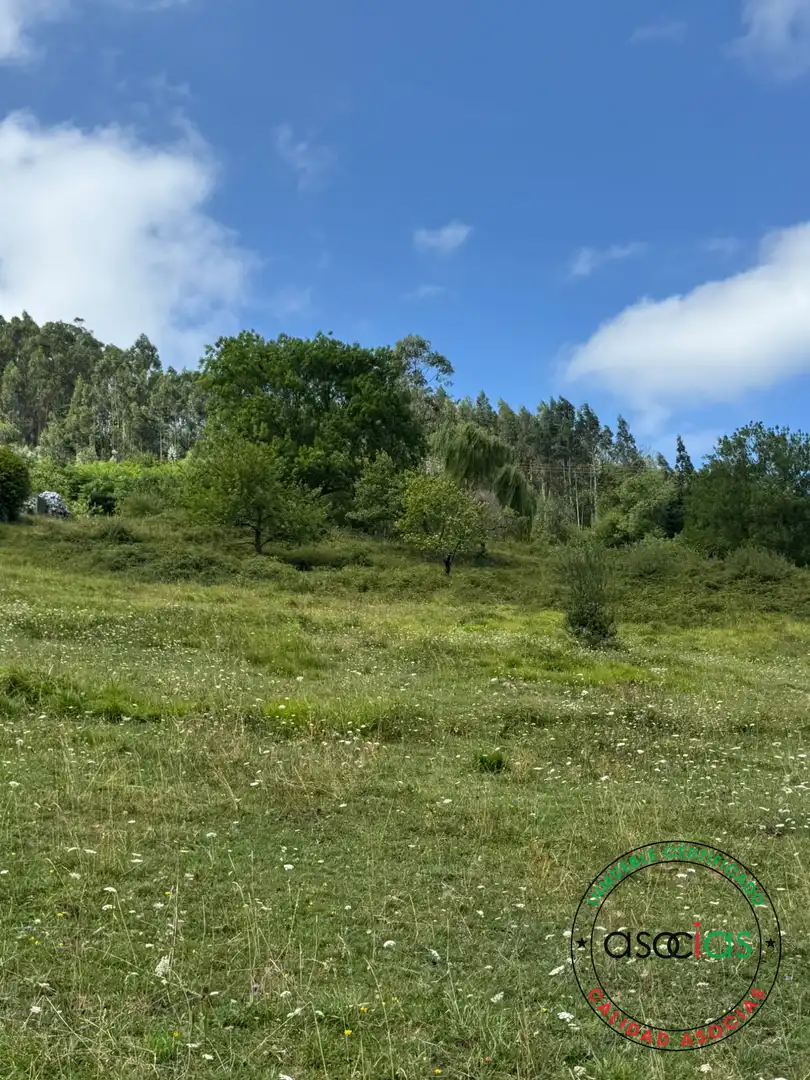 Terreny en venda en Villaviciosa