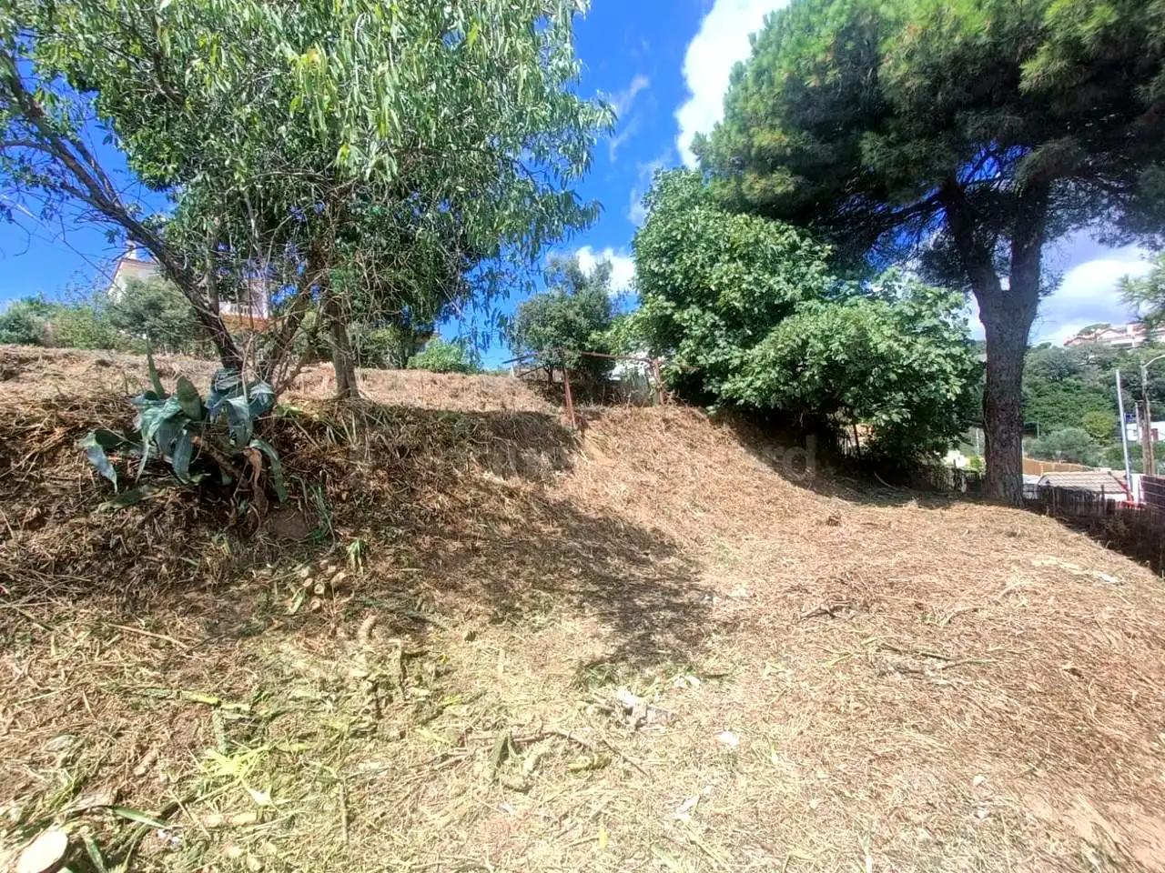 Lands and plots for sale in Can Massuet del Far, imagen 2