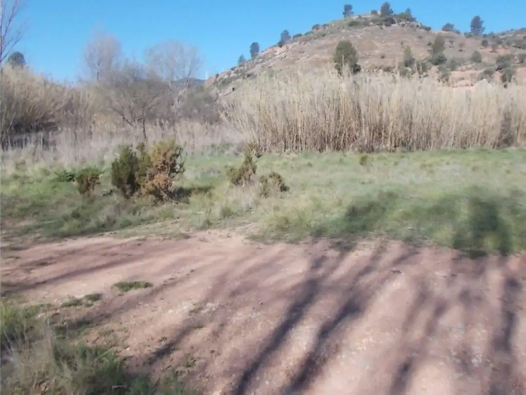 Rustikales Grundstück zum Verkauf in PT Río Cautaban, imagen 8