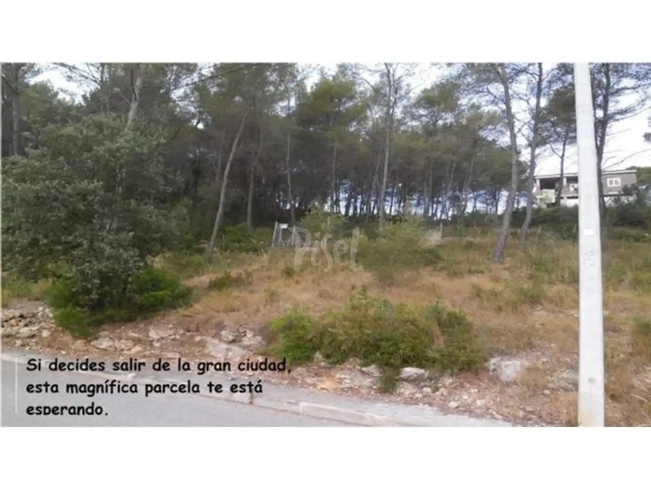 Rural land for sale in Urbanizacion Colinas