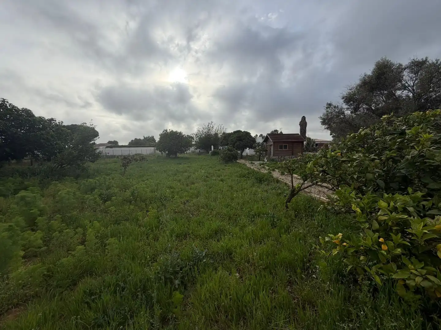 Casa o xalet en venda a Pelagatos - Pago del Humo