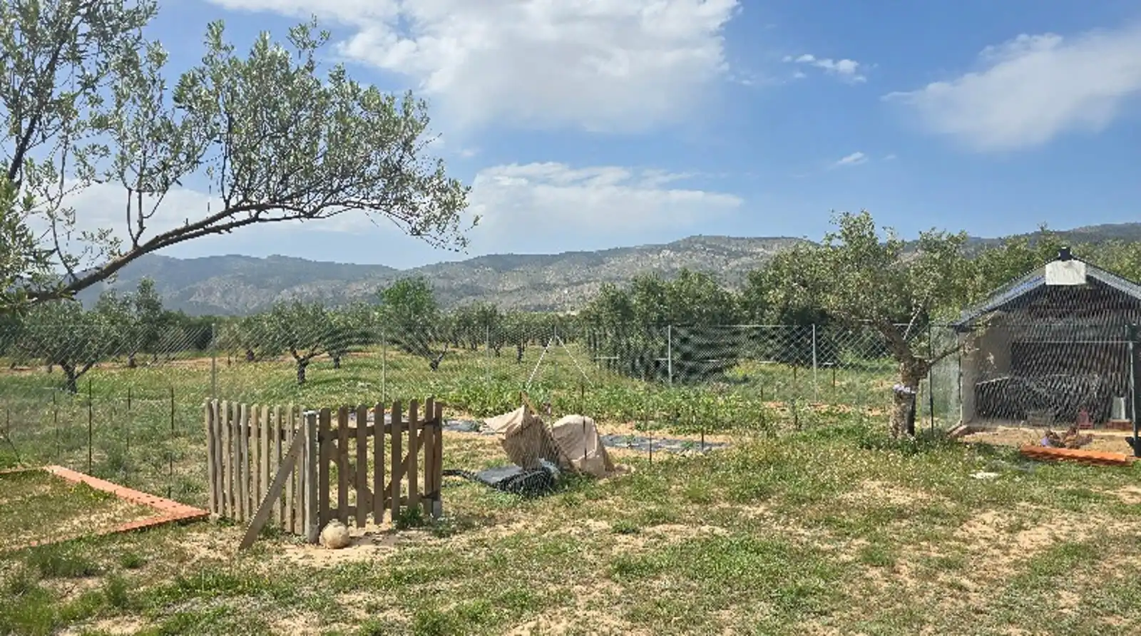 Terreny rústic en venda a Cam dels Pous, imagen 6