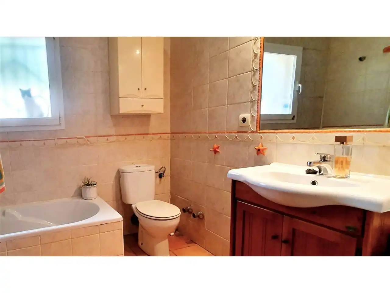 Casa rústica con jardín en venta en Los Gallardos, imagen 17
