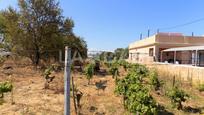 Residential for sale in Monteolivete - Camino Sevilla, imagen 3