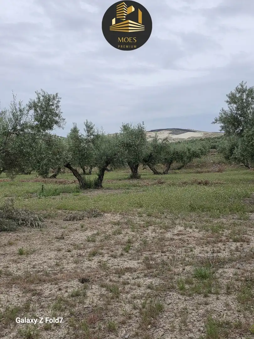 Residencial en venta en Pegalajar