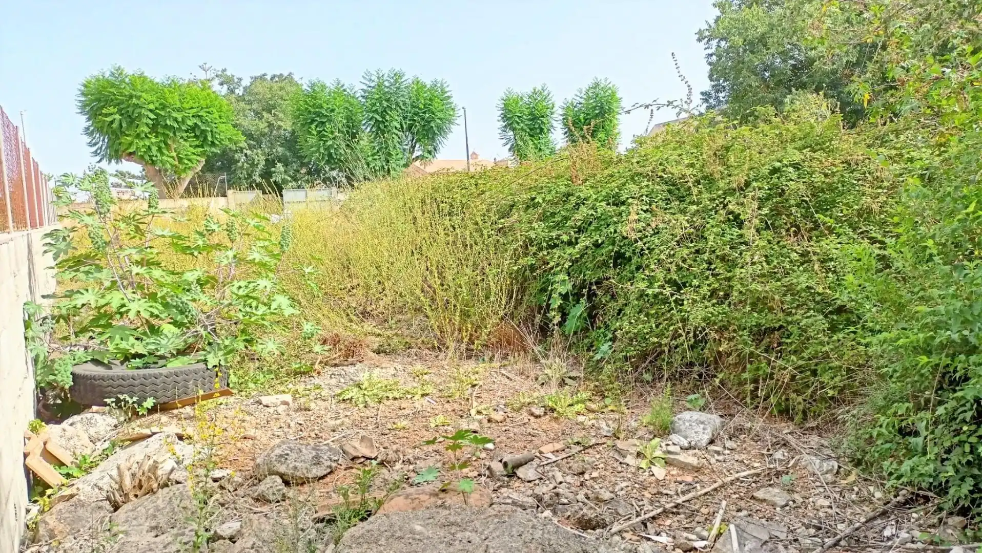 Terrenys i solars en venda a Muro, imagen 11