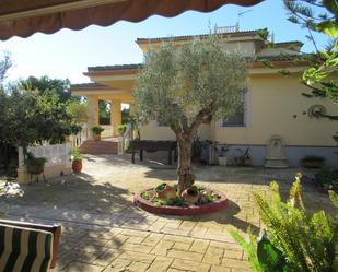 Garden of House or chalet for sale in San Vicente del Raspeig / Sant Vicent del Raspeig  with Private garden, Terrace and Storage room