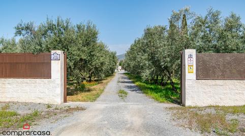 Photo 5 of Land for sale in  Arevanal, Centro - Sagrario, Granada