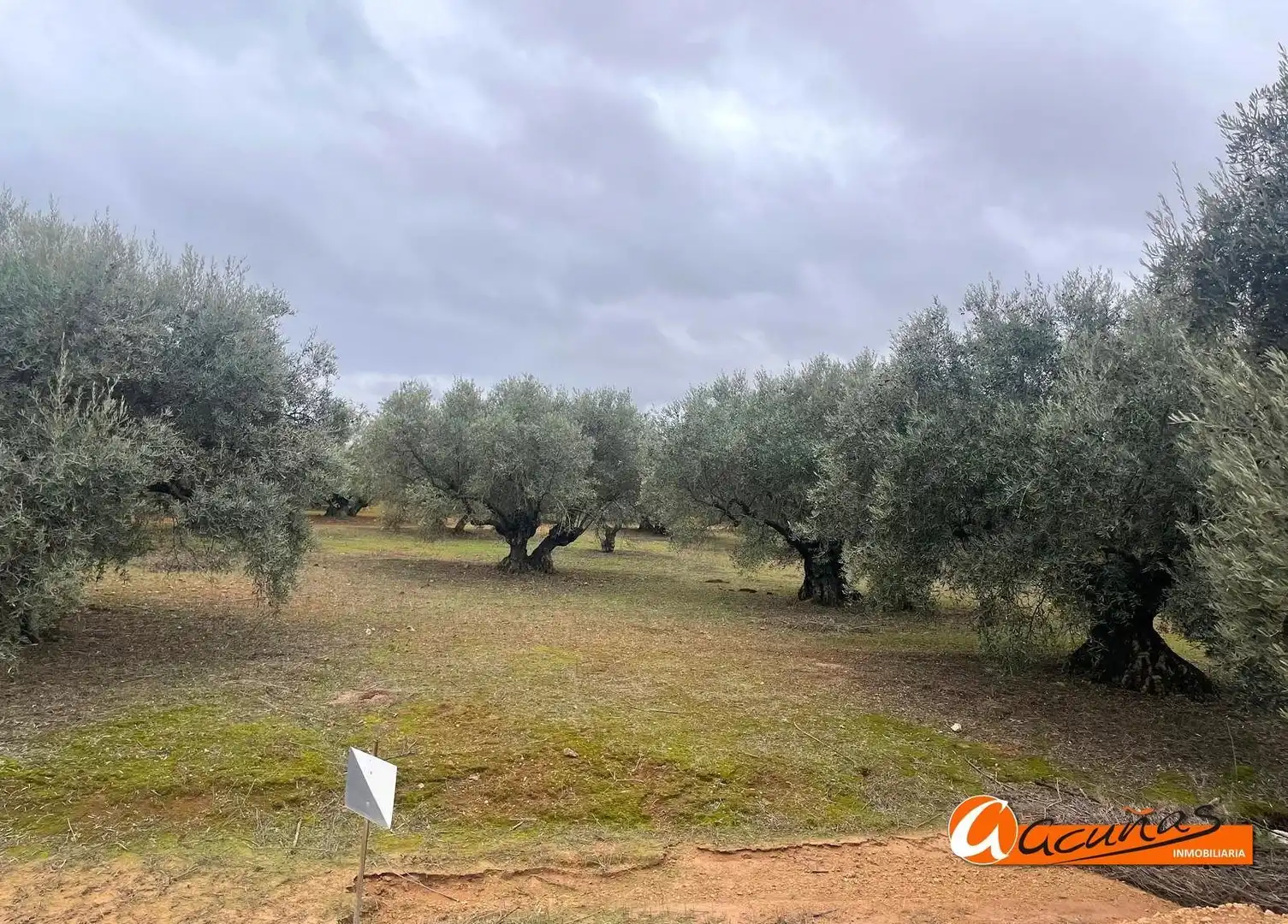 Terrenos y solares en venta en Alameda, imagen 3