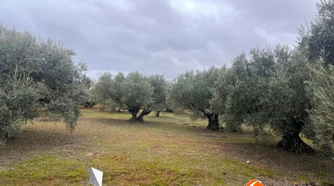 Terreno en Alameda, Málaga, immagine 3