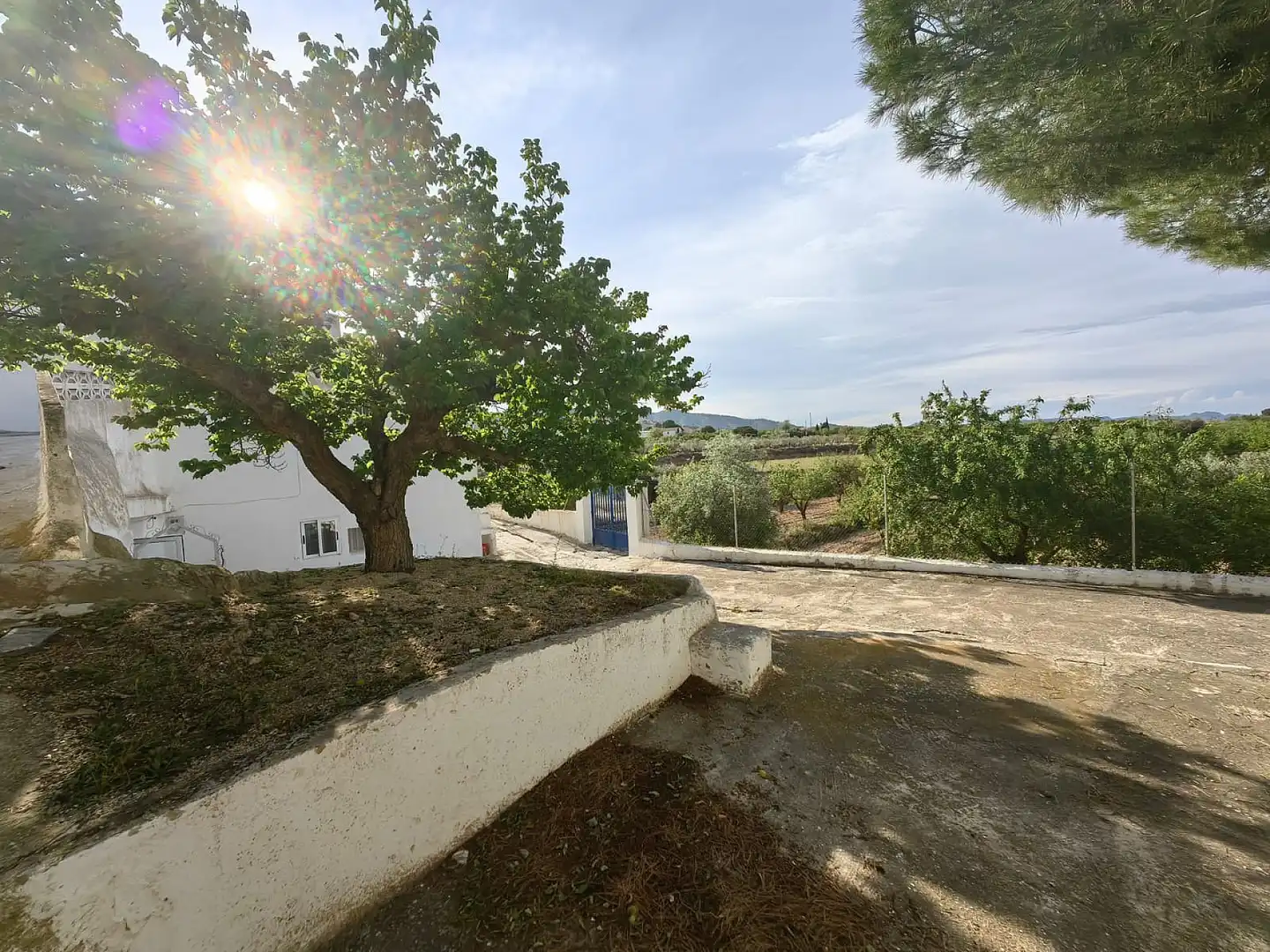 Casa o xalet en venda a Yecla