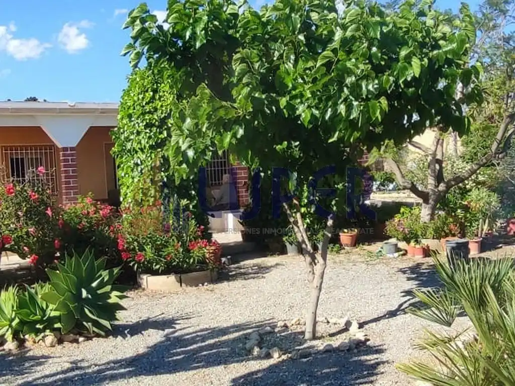 Garden of Houses for sale in Alicante / Alacant  with Community pool