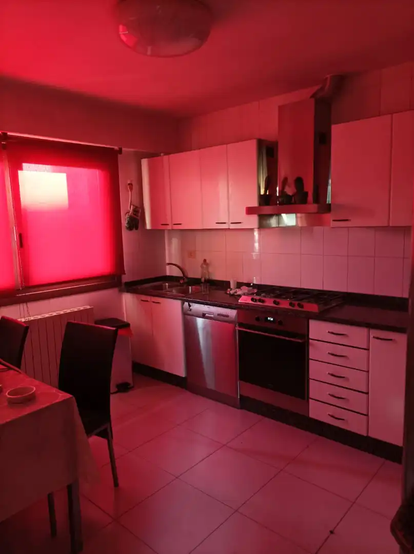 Cocina de Casa o chalet en venta en San Cibrao das Viñas con Jardín privado, Terraza y Amueblado