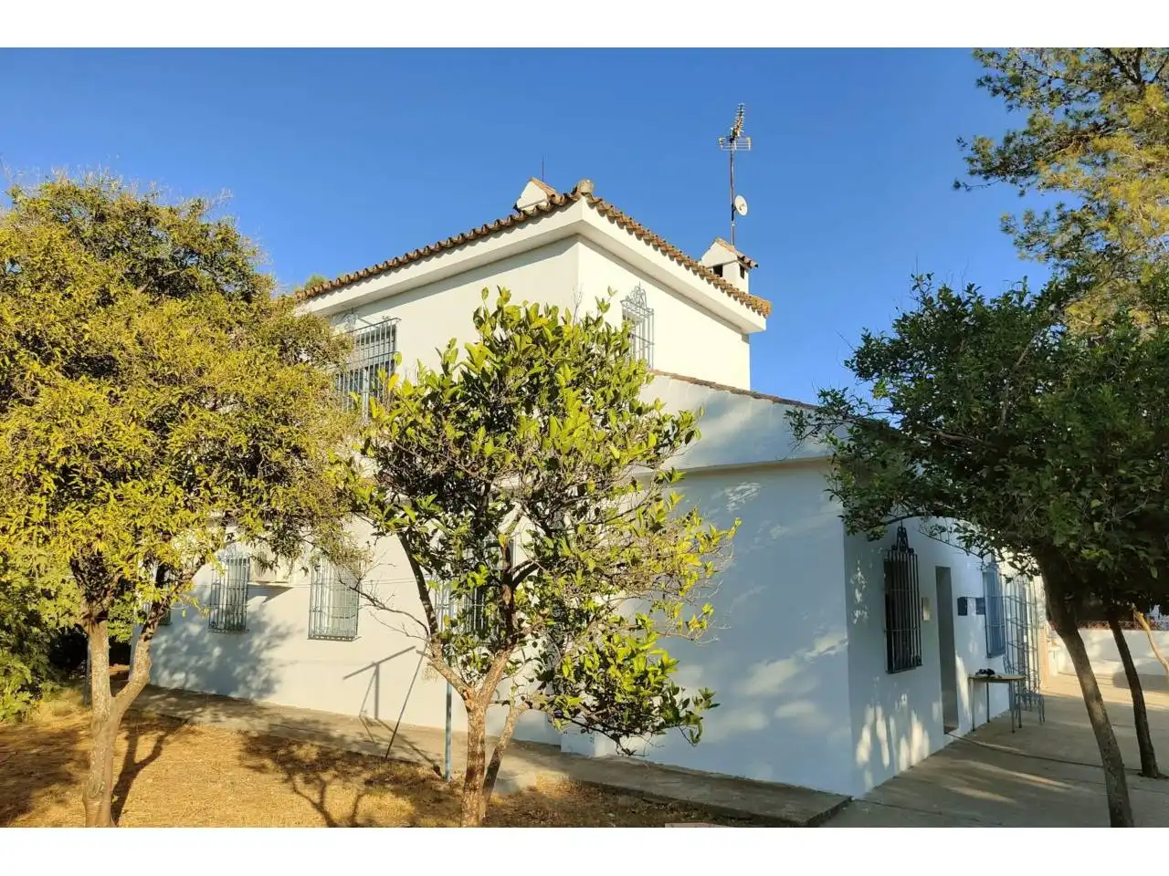 Vista exterior de Casa o chalet en venta en Carmona con Aire acondicionado, Jardín privado y Terraza