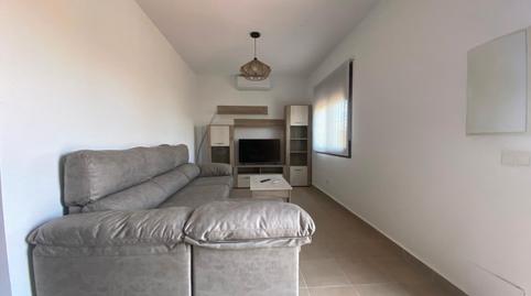 Foto 5 de Finca rústica de lloguer a Cártama, Málaga