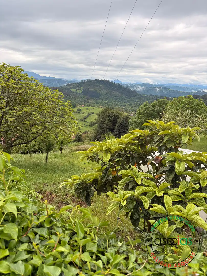 Terreni e lotti in vendita a Careses - Aldea Ordiales, imagen 20