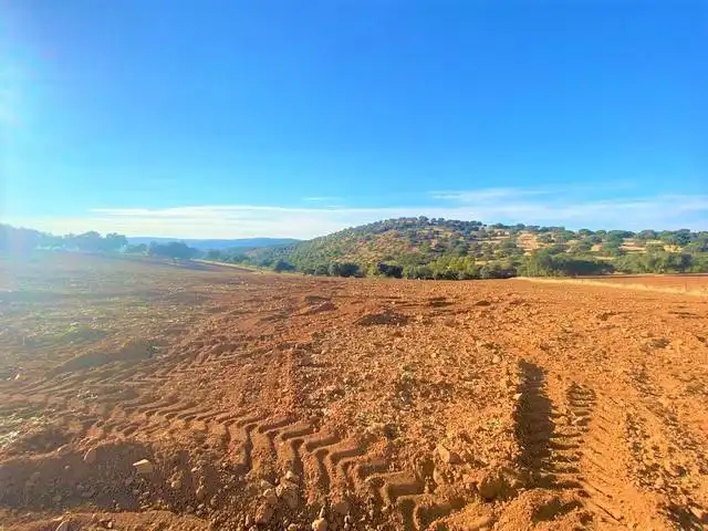 Lands and plots for sale in Fuente Obejuna, imagen 8