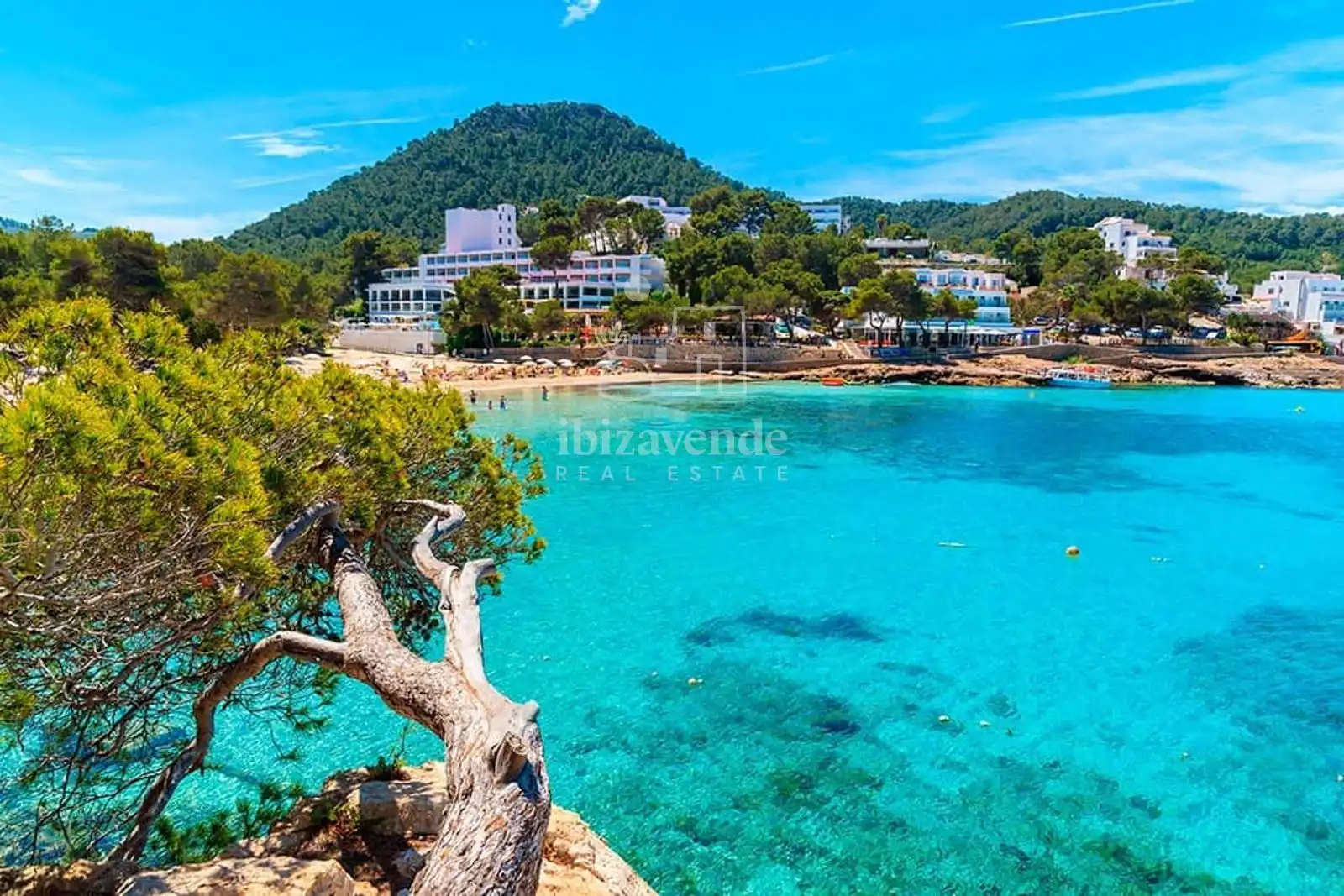 Flat for rent in Portinax, Sant Joan de Labritja
